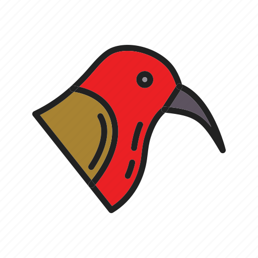 Crimson sunbird, sunbird, wildlife, bird, crimson, female, yoga icon - Download on Iconfinder