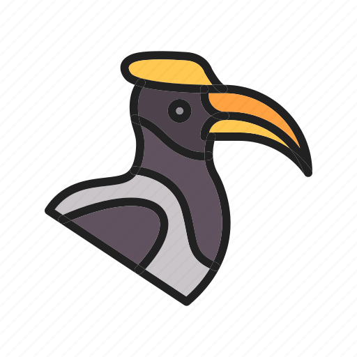Hornbill, bird, animal, wildlife, nature, ornithology, birds icon - Download on Iconfinder