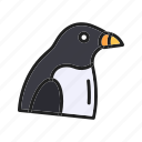 penguin, animal, bird, zoo, wildlife, nature, winter, auk