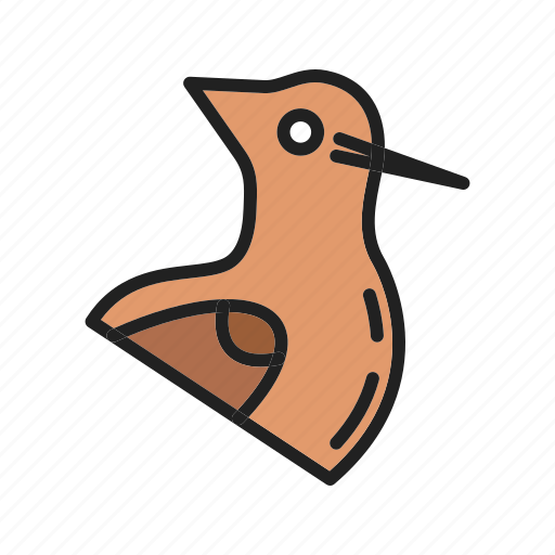 Roadrunner, bird, animal, chaparralcock, cock, flyingcreature, fly icon - Download on Iconfinder