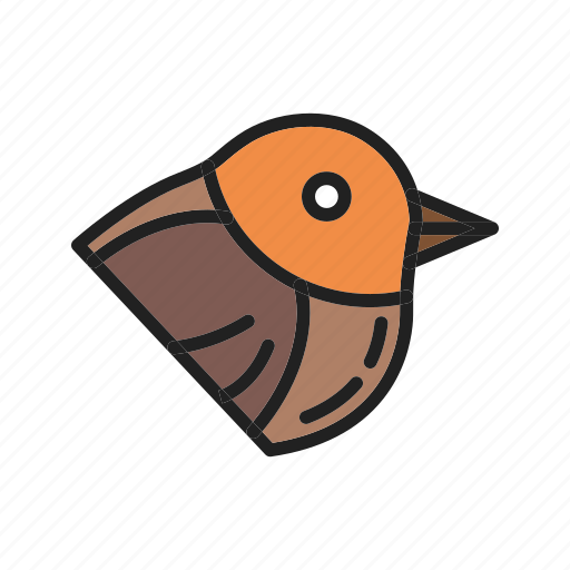 Robin, bird, animal, animals, sparrow, nature, canary icon - Download on Iconfinder