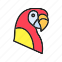 scarlet macaw, parrot, bird, macaw, feathercreature, pet, psittacines, petbird