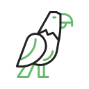eagle, bird, animal, hawk, falcon, flyingeagle, wildlife, eagleemblem