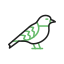 sparrow, bird, fly, dove, nature, animal, pet, wildlife 