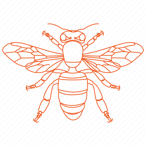 Bee, bumble bee, bumblebee, honey bee, wings icon - Download on Iconfinder