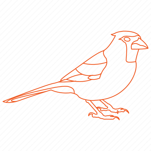 Bird, birds, cardinal icon - Download on Iconfinder