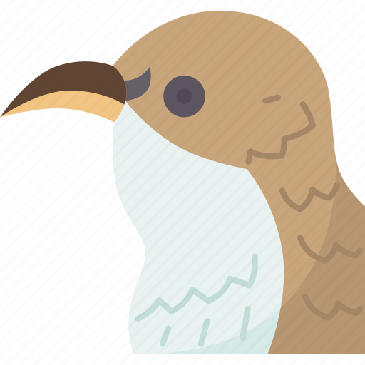 Bird, creeper, beak, avian, tree icon - Download on Iconfinder