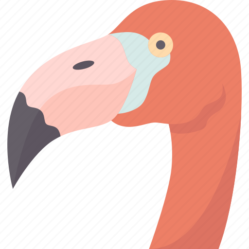 Bird, flamingo, wader, ornithology, fauna icon - Download on Iconfinder