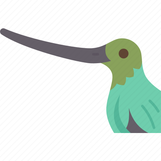 Bird, hummingbird, beak, long, wildlife icon - Download on Iconfinder