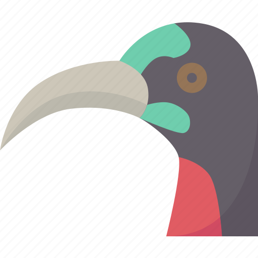 Bird, nectar, feeder, beak, curved icon - Download on Iconfinder