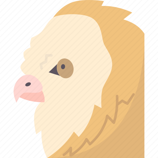 Bird, owls, beak, wildlife, nocturnal icon - Download on Iconfinder