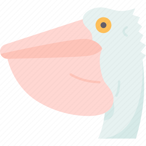 Bird, pelican, netting, fishing, ornithology icon - Download on Iconfinder