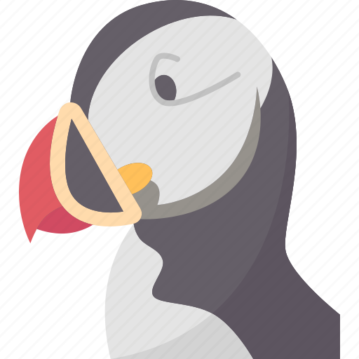 Bird, puffins, atlantic, wildlife, fauna icon - Download on Iconfinder