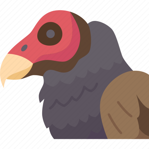 Bird, scavenging, vulture, wildlife, ornithology icon - Download on Iconfinder