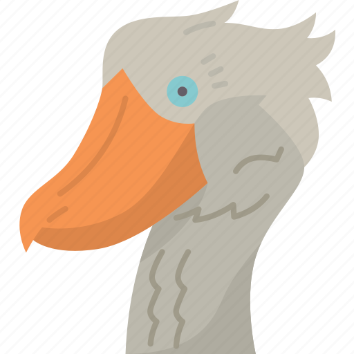 Bird, shoebill, beak, ornithology, fauna icon - Download on Iconfinder