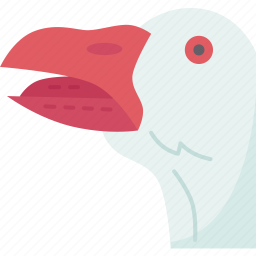 Goose, beak, feather, animal, domestic icon - Download on Iconfinder