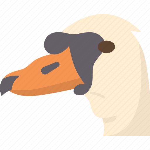 Swan, beak, cygnus, feather, lake icon - Download on Iconfinder