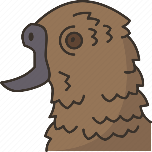 Bird, broken, beak, injury, animal icon - Download on Iconfinder