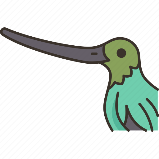 Bird, hummingbird, beak, long, wildlife icon - Download on Iconfinder