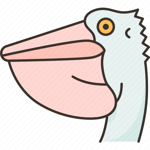 Bird, pelican, netting, fishing, ornithology icon - Download on Iconfinder