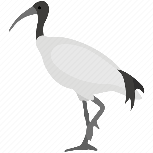 Bird, egyptian, ibis, park, sacred, thoth, wading icon - Download on Iconfinder