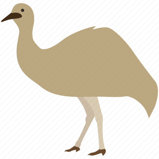 Australia, australian, bird, emu, flightless, large, rhea icon - Download on Iconfinder