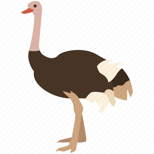 African, bird, farming, flightless, largest, ostrich, racing icon - Download on Iconfinder