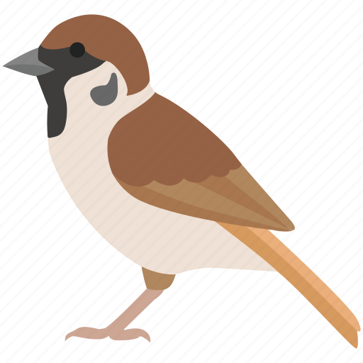 Aviary, bird, finch, small, sparrow, wagtail, wren icon - Download on Iconfinder