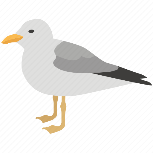 Bird, fishing, gull, kittiwake, mew, seagull, tern icon - Download on Iconfinder