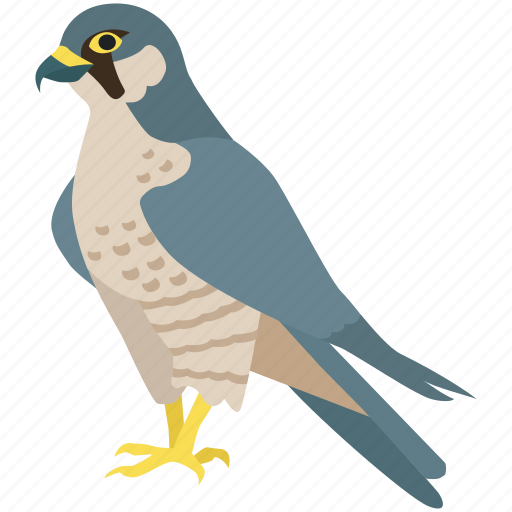 Bird, duck, eagle, hawk, peregrine falcon, prey icon - Download on Iconfinder