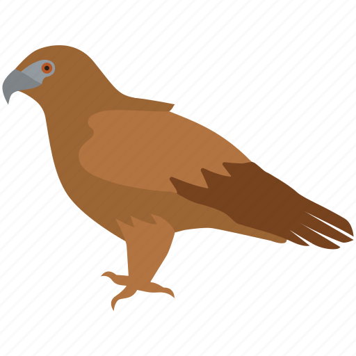 Bird, eagle, falcon, flight, golden eagle, hawk, raptor icon - Download on Iconfinder