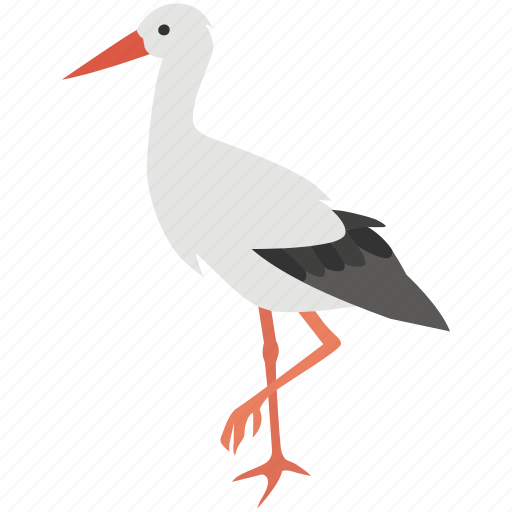 Bird, crane, darter, egret, heron, stork, water icon - Download on Iconfinder