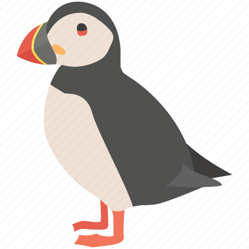 Atlantic, bird, coastal, cute, pelagic, puffin, seabird icon - Download on Iconfinder