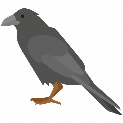 Bird, carrion, crow, jackdaw, omen, raven, scavenger icon - Download on Iconfinder