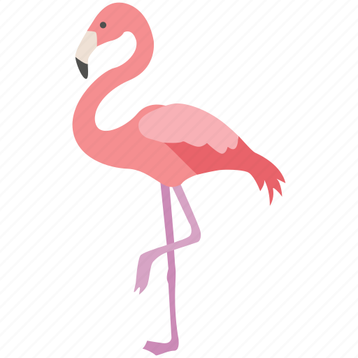 Bahamas, bird, elegance, exotic, flamingo, pink, zoo icon - Download on Iconfinder
