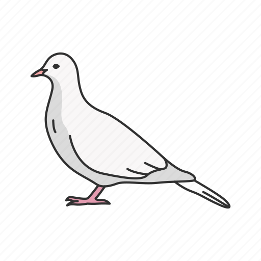 Animal, bird, dove, feather, flying bird, pigeons, wings icon - Download on Iconfinder