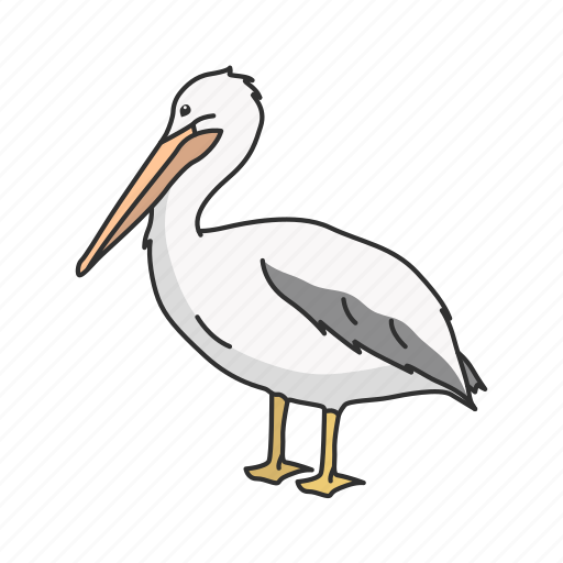 Animal, bird, pelican, rosy pelican, water bird, webbed feet icon - Download on Iconfinder