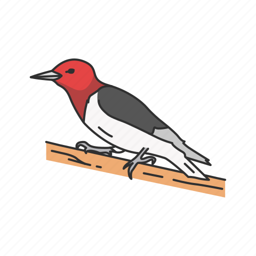 Animal, beak, bird, feather, passerine bird, sapsucker, wryneck icon - Download on Iconfinder