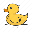 animal, aquatic bird, bird, domestic duck, duck, waterbird, waterfowl