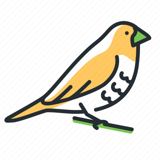 Bird, munia, nature, wildlife icon - Download on Iconfinder