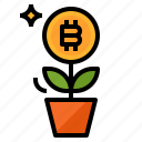 bitcoin, cash, coin, currency, growth, money