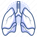 anatomy, lungs, organ, healthcare, pulmonary, medical