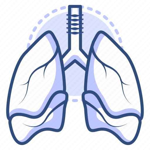 Anatomy, lungs, organ, healthcare, pulmonary, medical icon - Download on Iconfinder