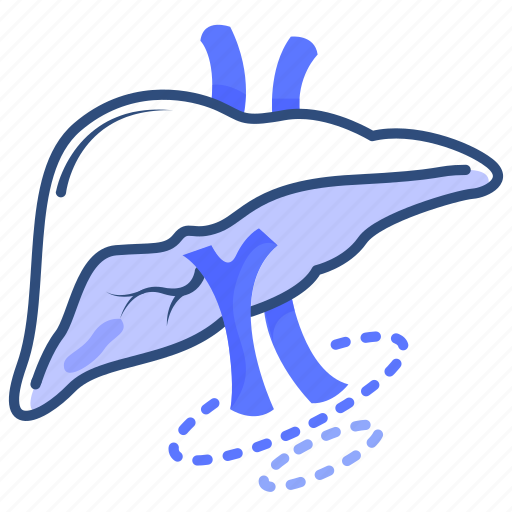 Baldder, gall, liver, organ, anatomy, hepatologist icon - Download on Iconfinder