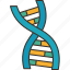 dna, gene, genome, chromosome, biochemistry 