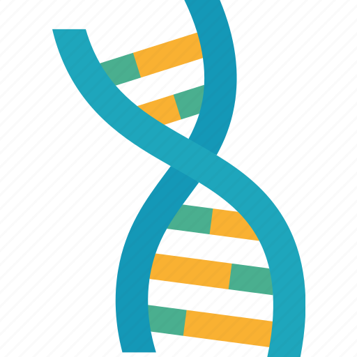 Dna, gene, genome, chromosome, biochemistry icon - Download on Iconfinder