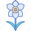 daffodil, flower, plants, spring, flowering 