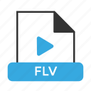 file, flv, format