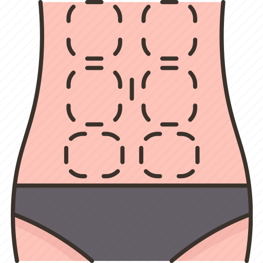 Muscle, abdominal, body, waist, abdominoplasty icon - Download on Iconfinder