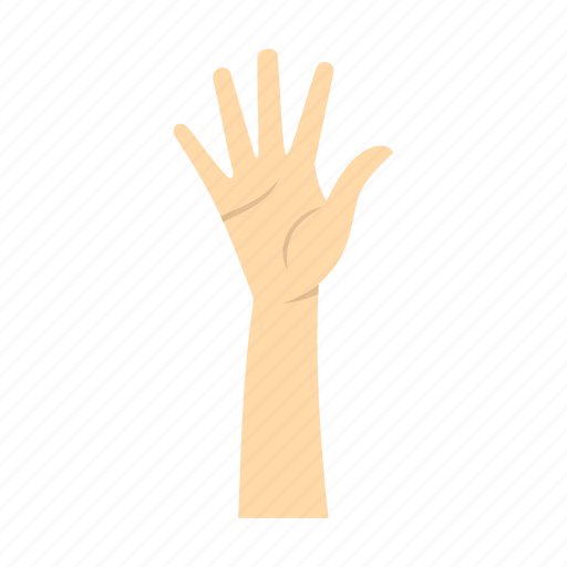 Arm, finger, five, hand, human, palm, person icon - Download on Iconfinder